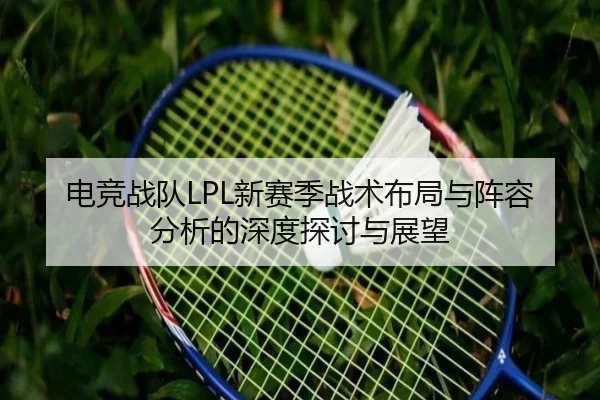 电竞战队LPL新赛季战术布局与阵容分析的深度探讨与展望